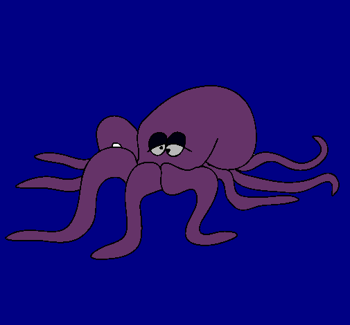 Pulpo