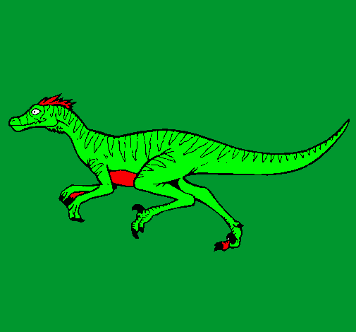 Velociraptor