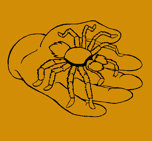 Tarántula