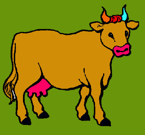 Vaca