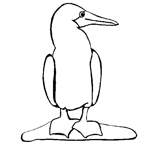 Dibujo Pato pintado por Crytius