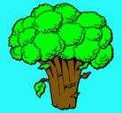Dibujo Brócoli pintado por hirt