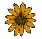 Dibujo Girasol pintado por campanita1