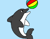 Dibujo Delfín jugando con una pelota pintado por cheko