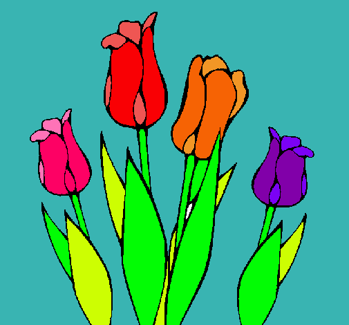 Tulipanes