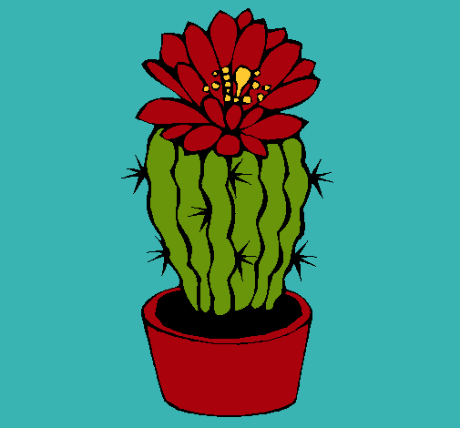 Cactus con flor