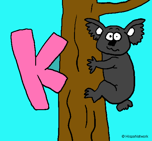 Koala