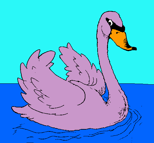 Cisne en el agua