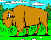 Dibujo Búfalo  pintado por xdxas