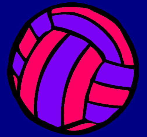 Pelota de voleibol