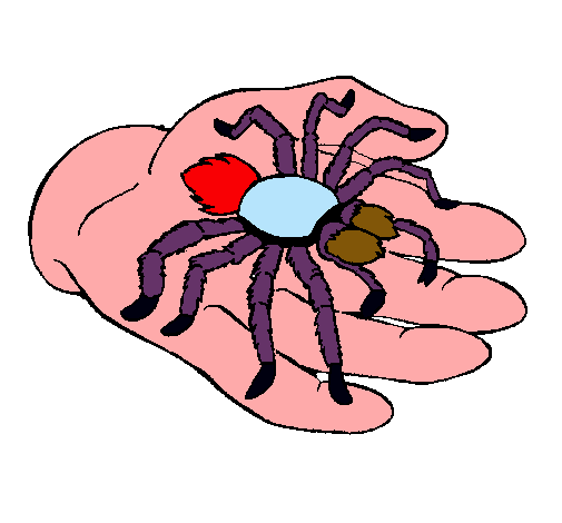 Tarántula