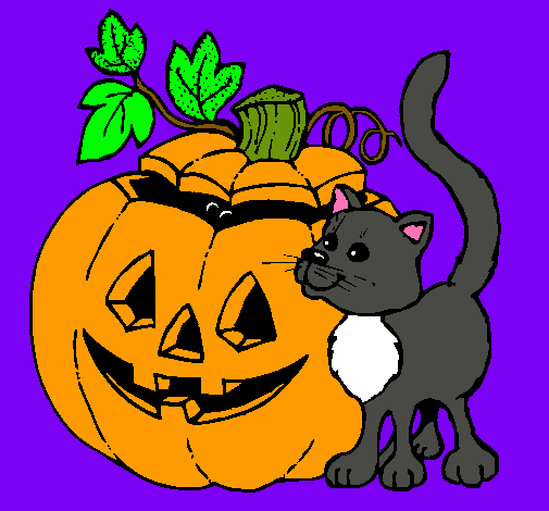 Calabaza y gato