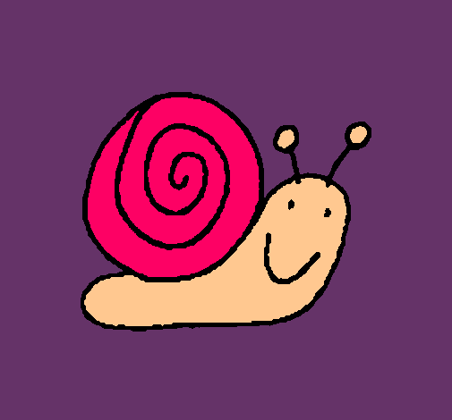 Caracol 4