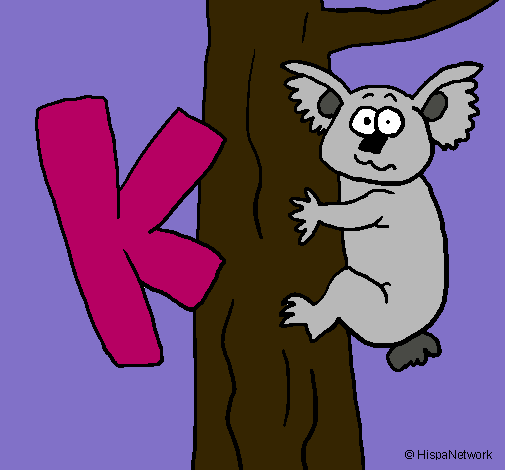 Koala