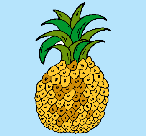 piña