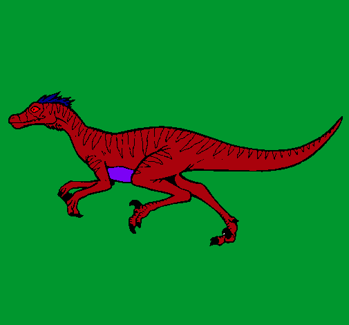 Dibujo Velociraptor pintado por saske 
