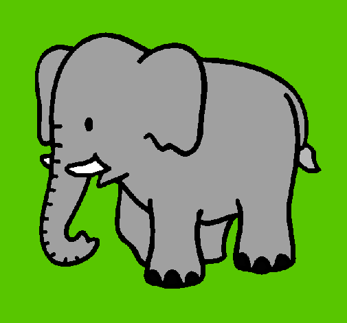 Elefante bebe