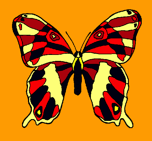 Mariposa