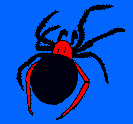 Araña venenosa