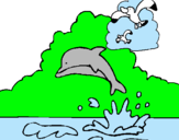 Dibujo Delfín y gaviota pintado por nerea07