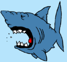Dibujo Tiburón pintado por memo23