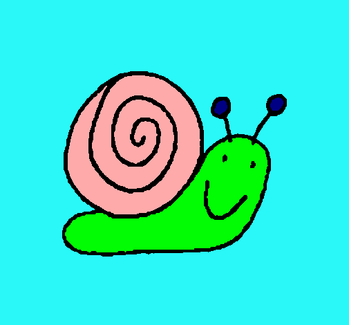 Caracol 4