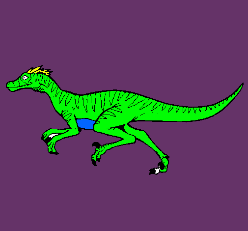 Velociraptor