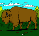 Dibujo Búfalo  pintado por deimi
