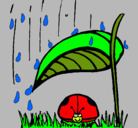 Dibujo Mariquita protegida de la lluvia pintado por nicolas138