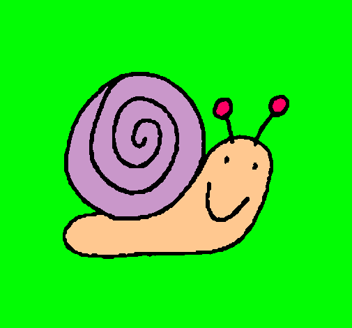 Caracol 4