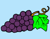 Dibujo racimo pintado por uvas