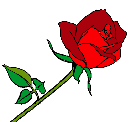 Dibujo Rosa pintado por Raskol