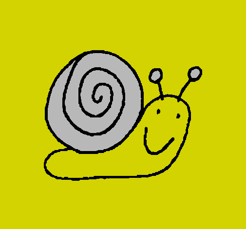 Caracol 4