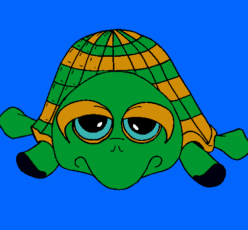 Tortuga