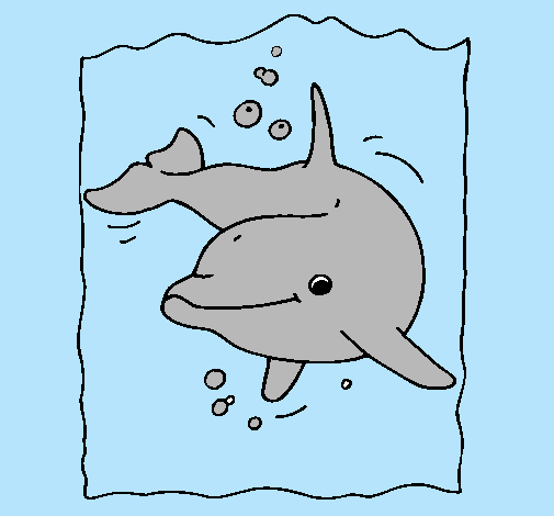 Delfín
