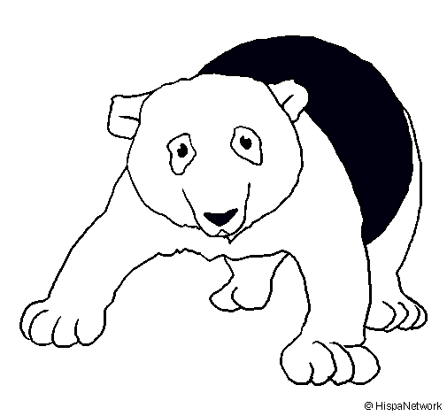 Oso panda