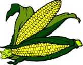 Dibujo Mazorca de maíz pintado por natty25