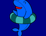 Dibujo Delfín con flotador pintado por palomaaaaaaa