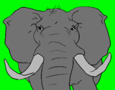 Dibujo Elefante africano pintado por mmmmmmmm
