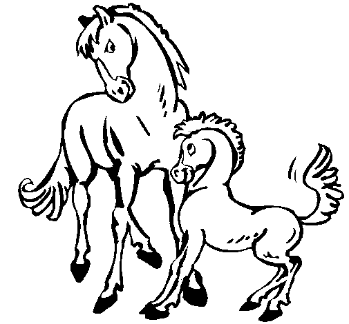 Caballos