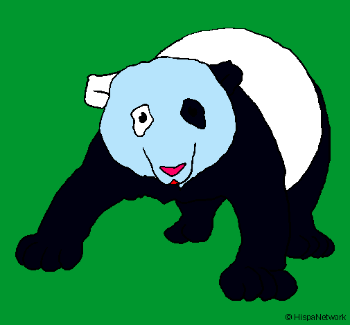 Dibujo Oso panda pintado por izannn