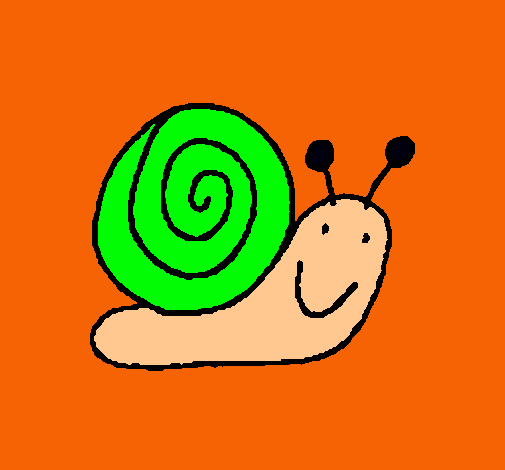 Caracol 4