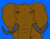 Dibujo Elefante africano pintado por tttttrrrrrrr