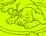 Dibujo Perro durmiendo pintado por Pupero