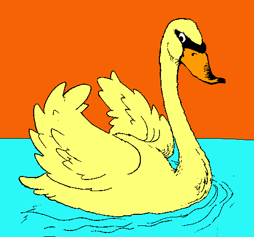 Cisne en el agua