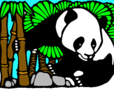 Dibujo Oso panda y bambú pintado por avatr