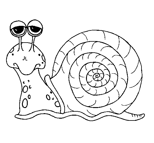 Caracol