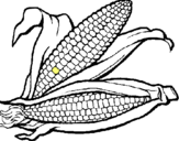Dibujo Mazorca de maíz pintado por fffffff
