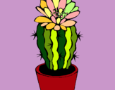 Dibujo Cactus con flor pintado por ceibo