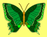 Dibujo Mariposa pintado por arocena